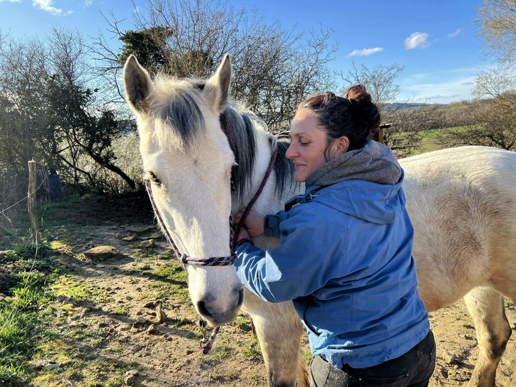 shiatsu cheval