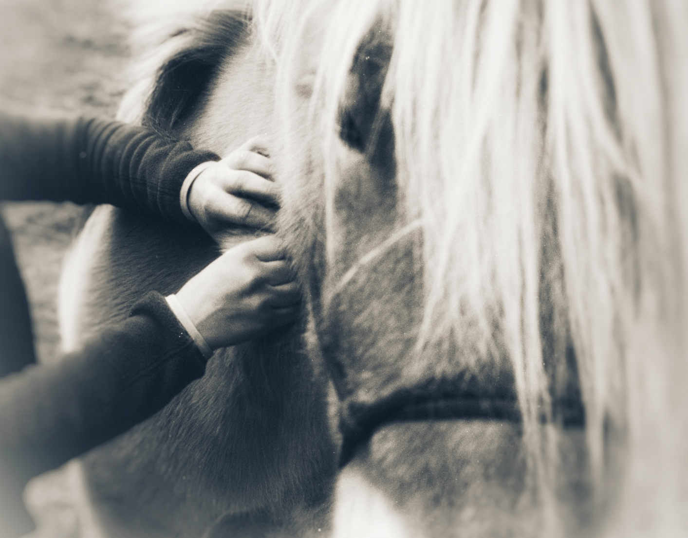 shiatsu cheval