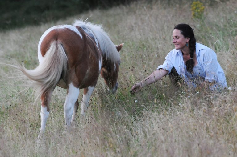 Les problèmes de peau chez le cheval.