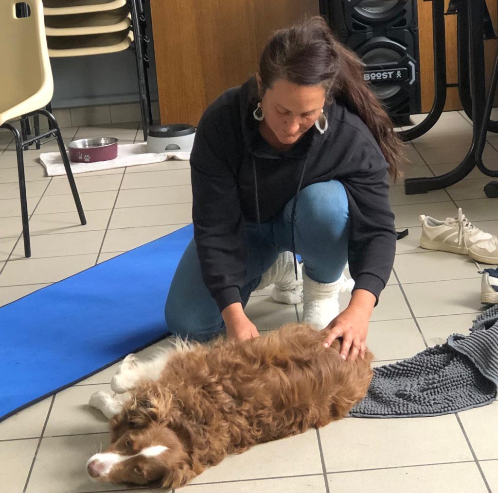 Canine Shiatsu