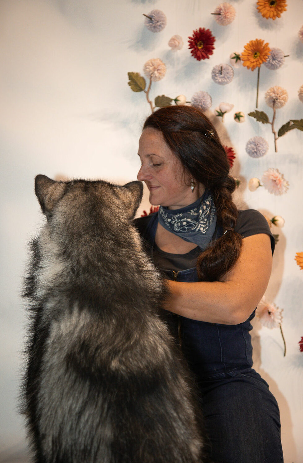 Shiatsu canin 71