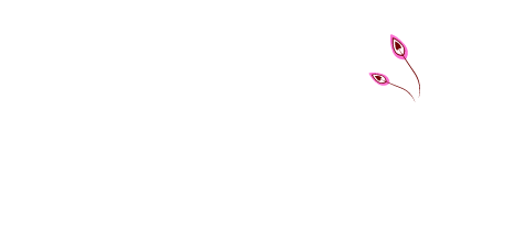 shiatsu équin