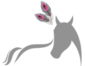 shiatsu équin Bourgogne