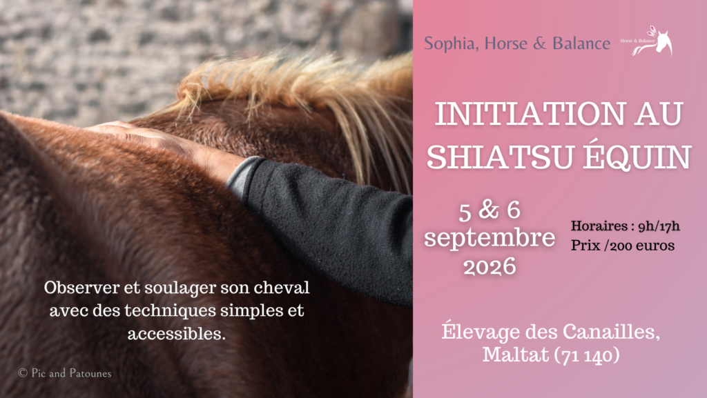 Shiatsu équin initiation